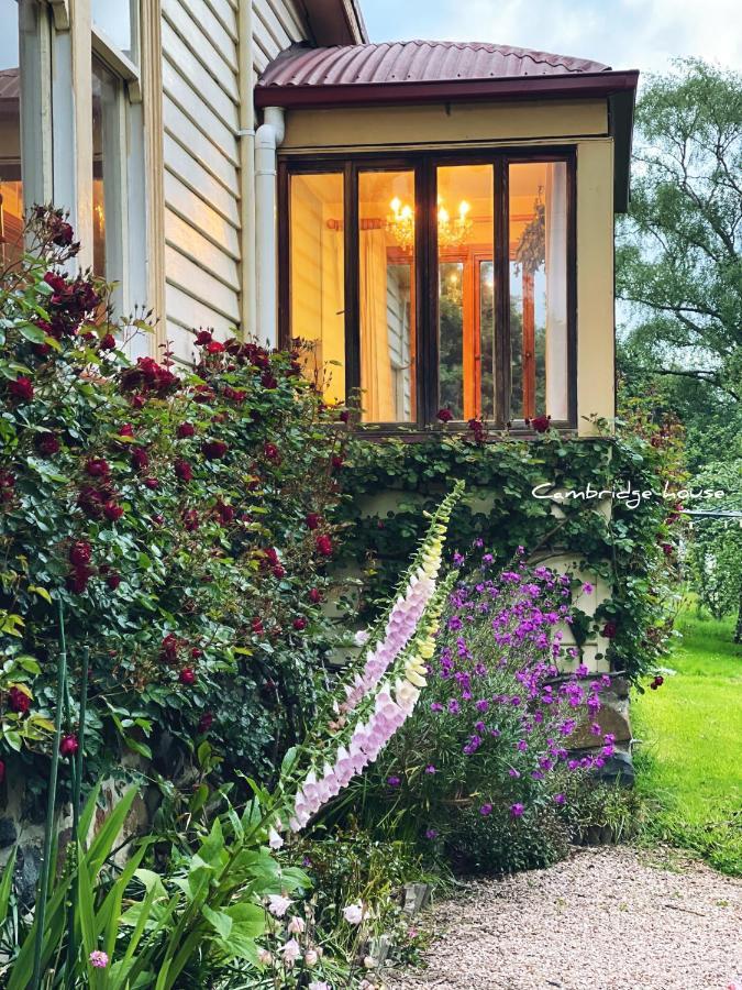 แคมบริดจ์เฮาส์บีแอนด์บี Bed & Breakfast Geeveston ภายนอก รูปภาพ