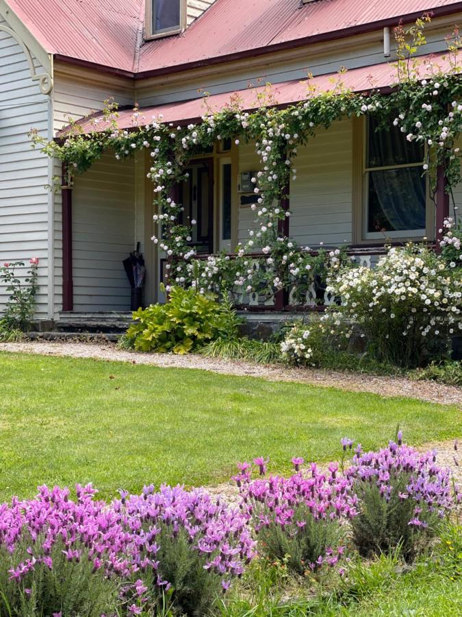 แคมบริดจ์เฮาส์บีแอนด์บี Bed & Breakfast Geeveston ภายนอก รูปภาพ